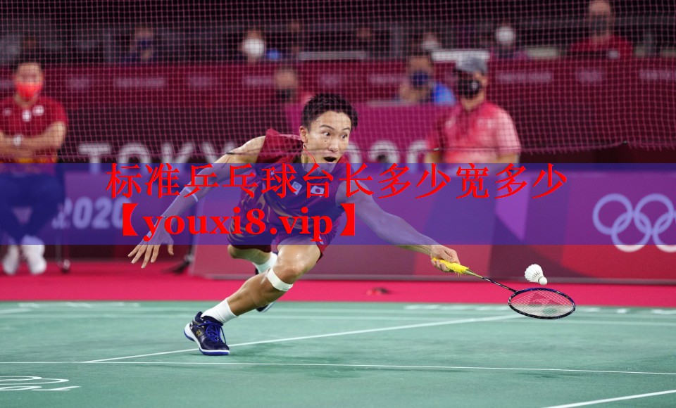 标准乒乓球台长多少宽多少