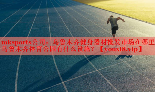 mksports公司：乌鲁木齐健身器材批发市场在哪里,乌鲁木齐体育公园有什么设施？