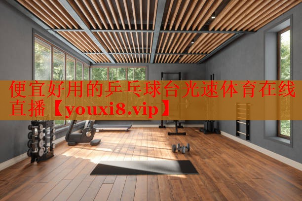 便宜好用的乒乓球台光速体育在线直播