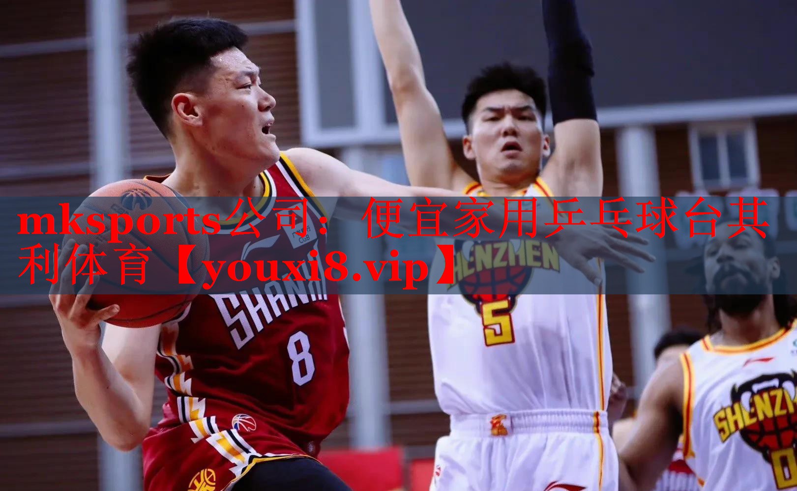 mksports公司：便宜家用乒乓球台其利体育