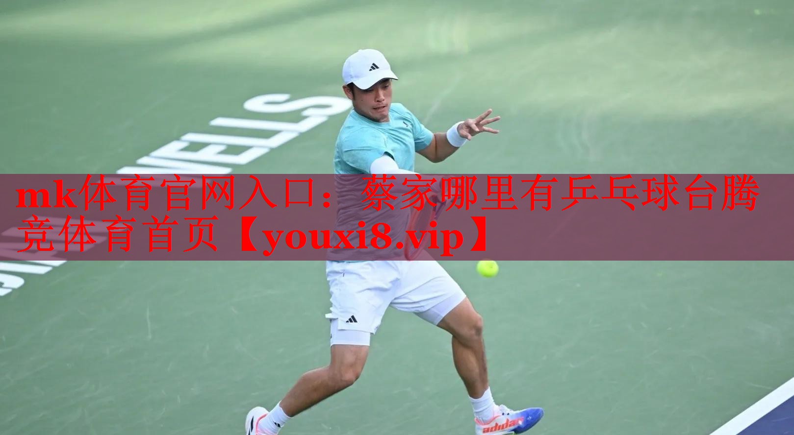 mk体育官网入口：蔡家哪里有乒乓球台腾竞体育首页