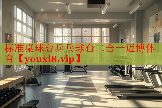 标准桌球台乒乓球台二合一迈博体育