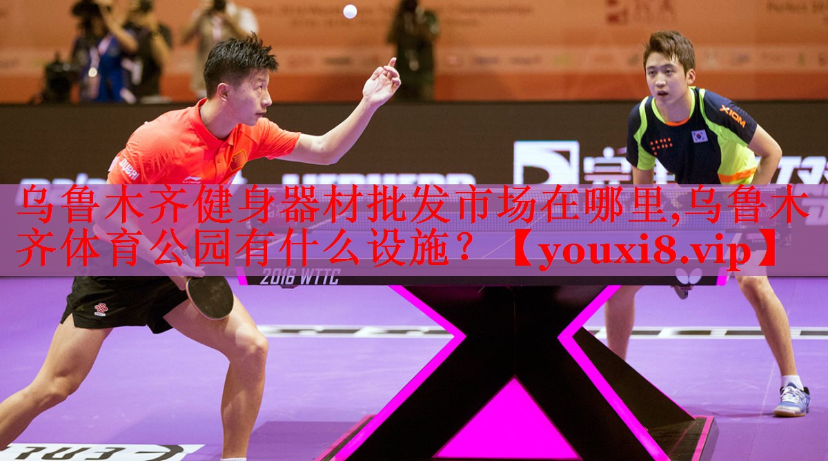 乌鲁木齐健身器材批发市场在哪里,乌鲁木齐体育公园有什么设施？