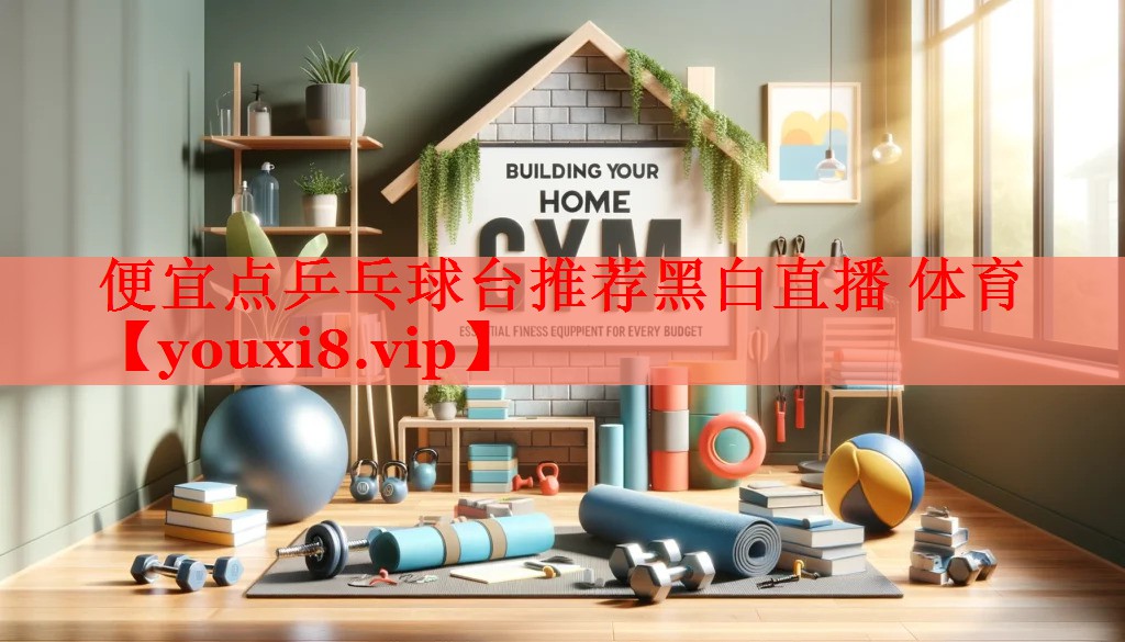 便宜点乒乓球台推荐黑白直播 体育