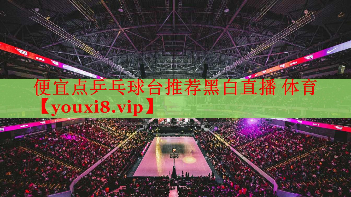 便宜点乒乓球台推荐黑白直播 体育