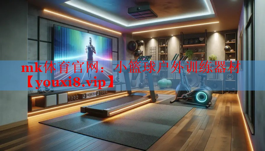 mk体育官网：小篮球户外训练器材