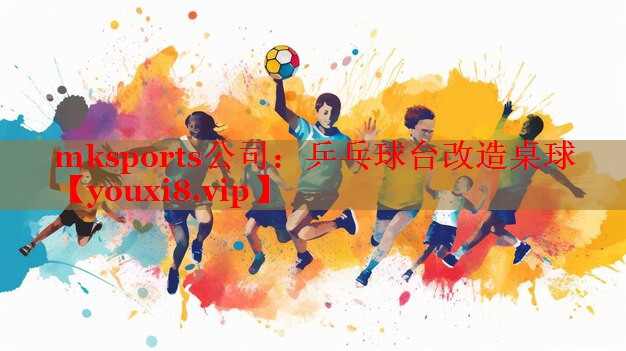 乒乓球台改造桌球